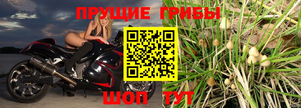 Галлюциногенные грибы Psilocybine cubensis  Вход с VPN  Павлово 