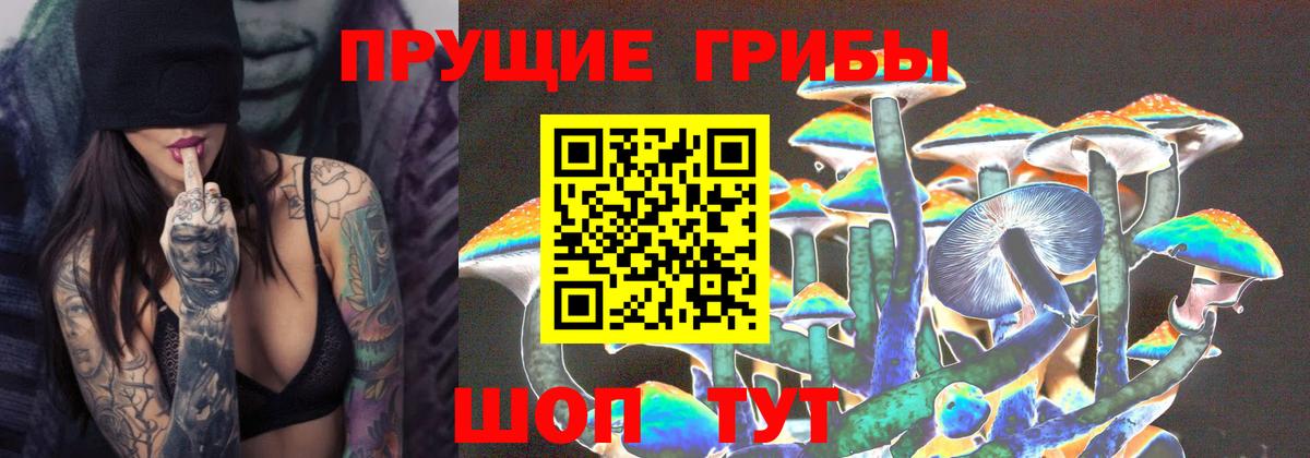 Псилоцибиновые грибы прущие грибы Павлово